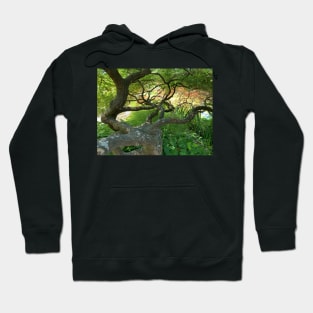 Maple Highway Hoodie